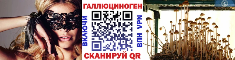 Псилоцибиновые грибы GOLDEN TEACHER Сорск